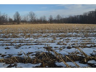Property photo 36 - FARMLAND AUCTION, 60+/- Acres in 6 Tracts ranging from 4 to 20 acres & in combinations!